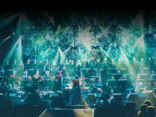 notp be header website4